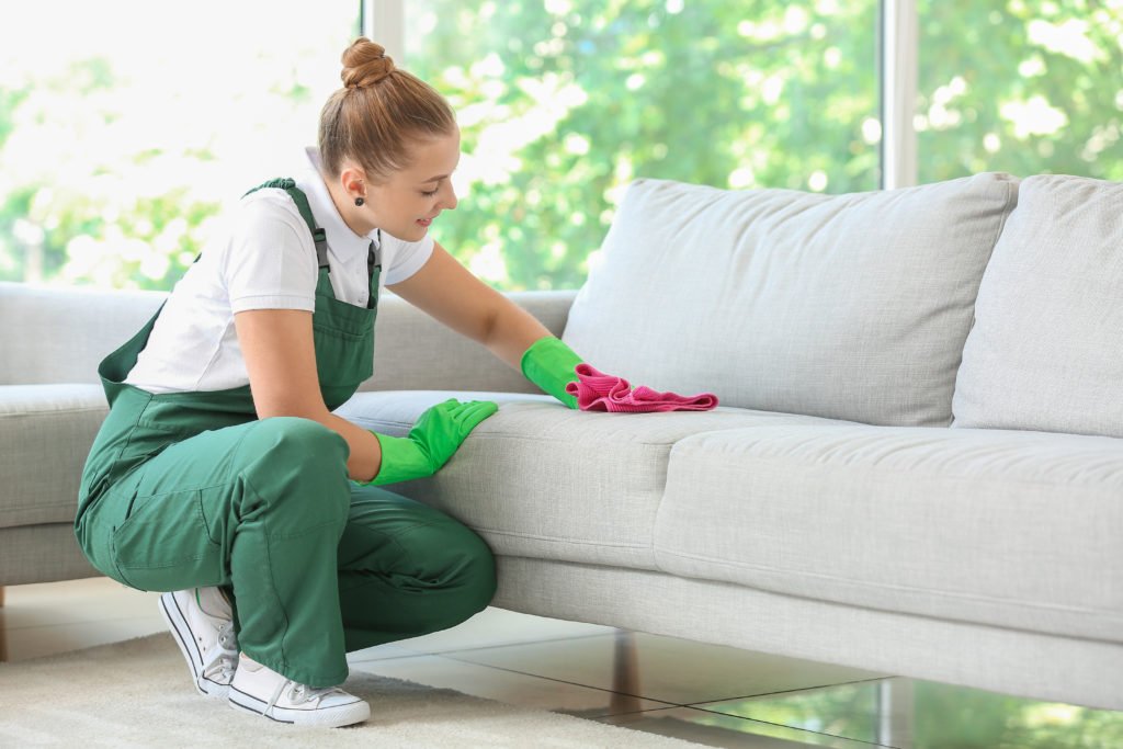 he cleaning and the cleanliness of the sofa